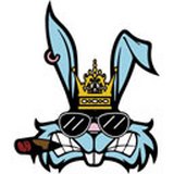 系统兔一键重装大师