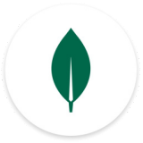 MongoDB Compass