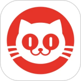 猫眼应用电脑版
